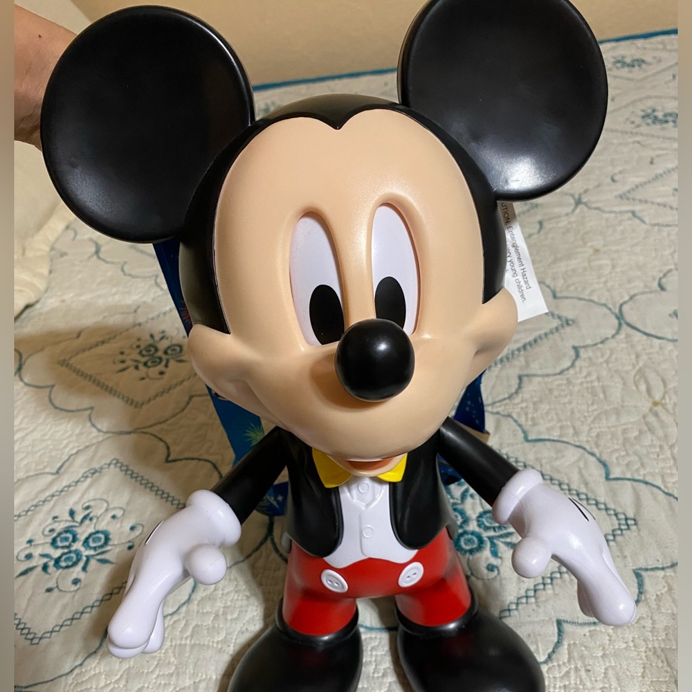 Talking Mickey Mouse popcorn bucket.